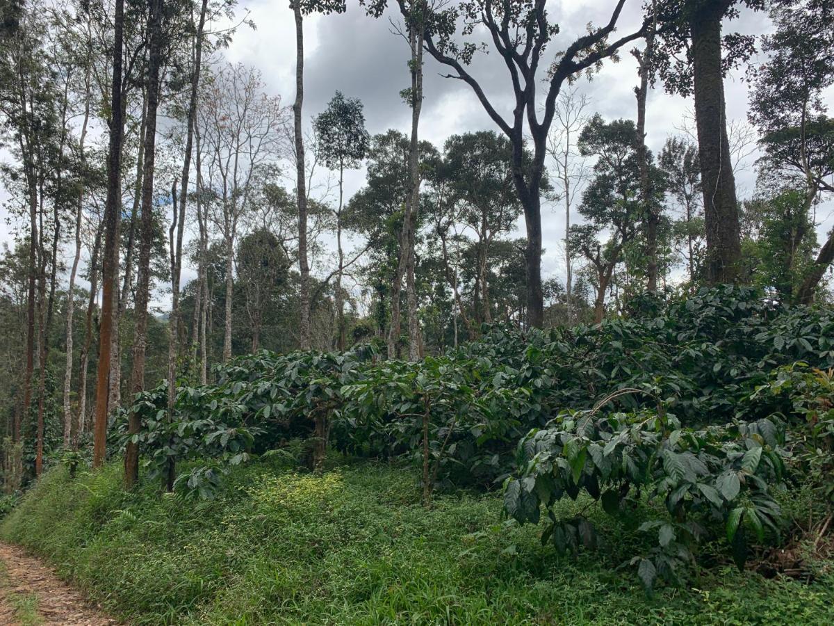 Sandev Homestay Madikeri Exterior photo