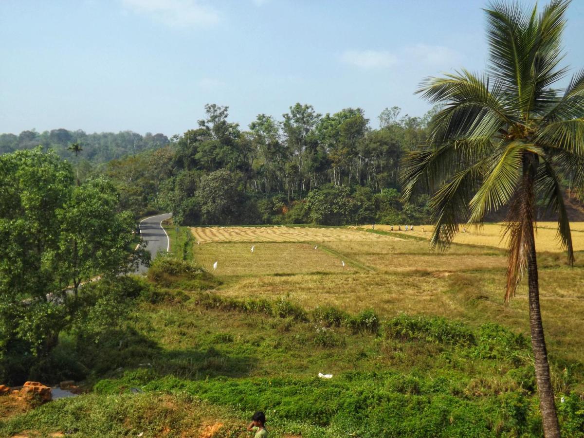 Sandev Homestay Madikeri Exterior photo